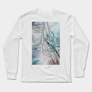 Mistery Trees, Synthesis Long Sleeve T-Shirt